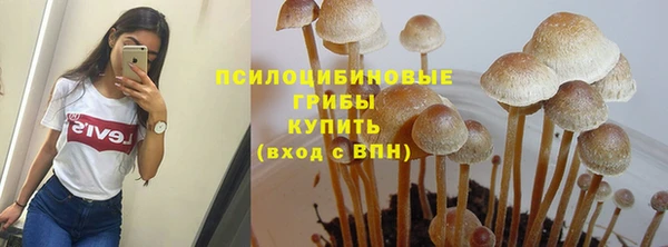 ПСИЛОЦИБИНОВЫЕ ГРИБЫ Остров