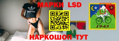 спайс Кандалакша