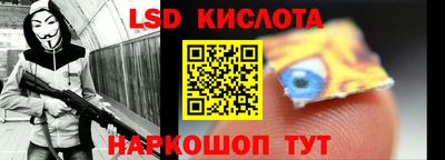 прущие крисы Камышлов