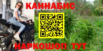 прущие крисы Камышлов