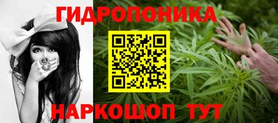 прущие крисы Камышлов