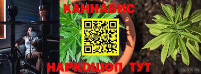 прущие крисы Камышлов