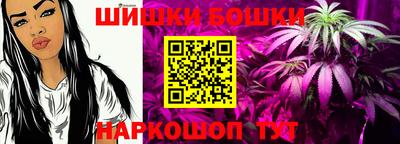 прущие крисы Камышлов