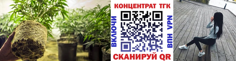 продажа наркотиков  Фролово  Дистиллят ТГК концентрат 
