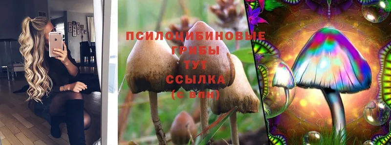 Галлюциногенные грибы MAGIC MUSHROOMS  что такое   Фролово 