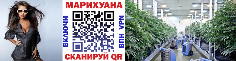 хочу   Фролово  мега маркетплейс  Конопля OG Kush 